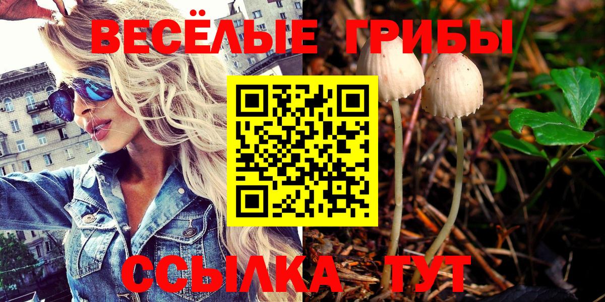 Псилоцибиновые грибы MAGIC MUSHROOMS Приморско-Ахтарск