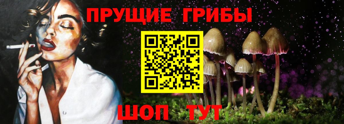 Галлюциногенные грибы Magic Shrooms  Галлюциногенные грибы Cubensis  Приморско-Ахтарск  Вход с VPN 